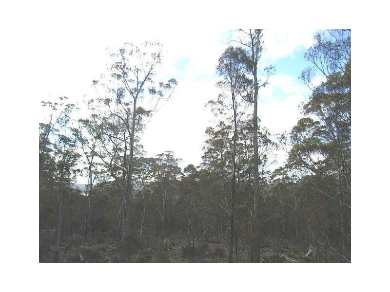 93 Lake View Road, Lake Leake TAS 7210