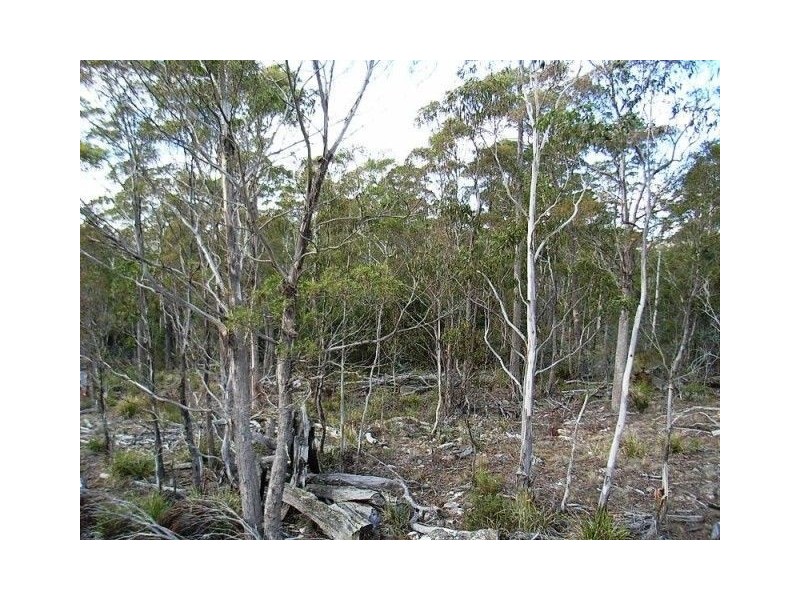93 Lake View Road, Lake Leake TAS 7210