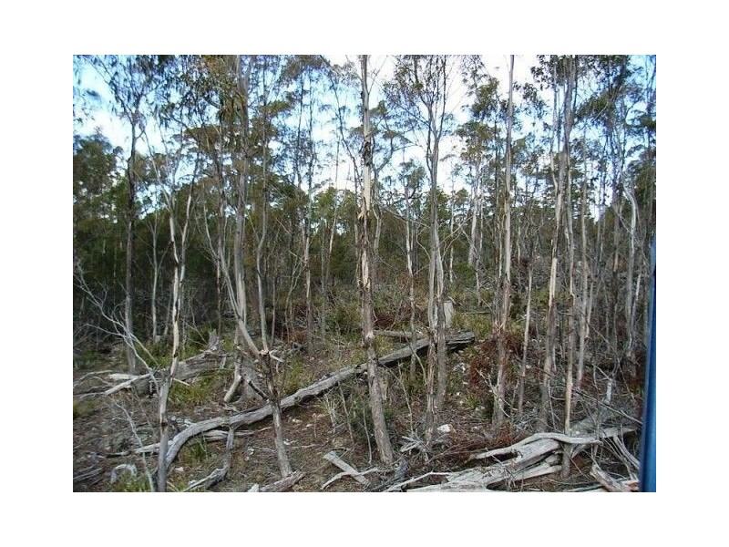 93 Lake View Road, Lake Leake TAS 7210