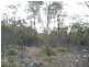93 Lake View Road, Lake Leake TAS 7210