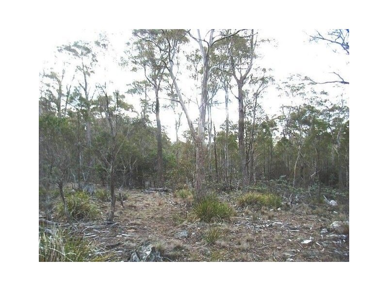 93 Lake View Road, Lake Leake TAS 7210