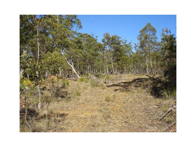 93 Lake View Road, Lake Leake TAS 7210