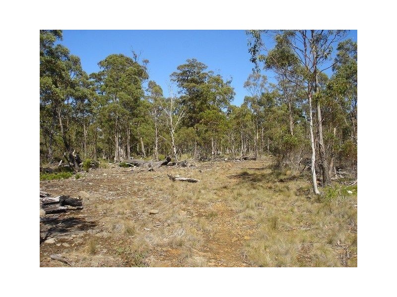 93 Lake View Road, Lake Leake TAS 7210