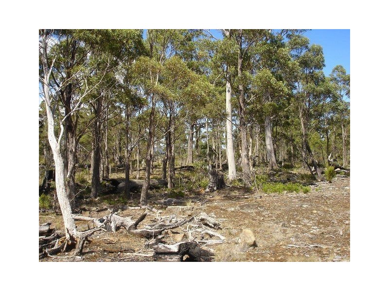 93 Lake View Road, Lake Leake TAS 7210