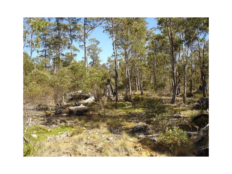 93 Lake View Road, Lake Leake TAS 7210
