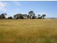 21 Badajos Street, Ross TAS 7209