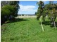 17 Forster Street, Campbell Town TAS 7210