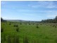 225036/1 Blackwood Creek Road, Blackwood Creek TAS 7301