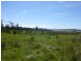 225036/1 Blackwood Creek Road, Blackwood Creek TAS 7301