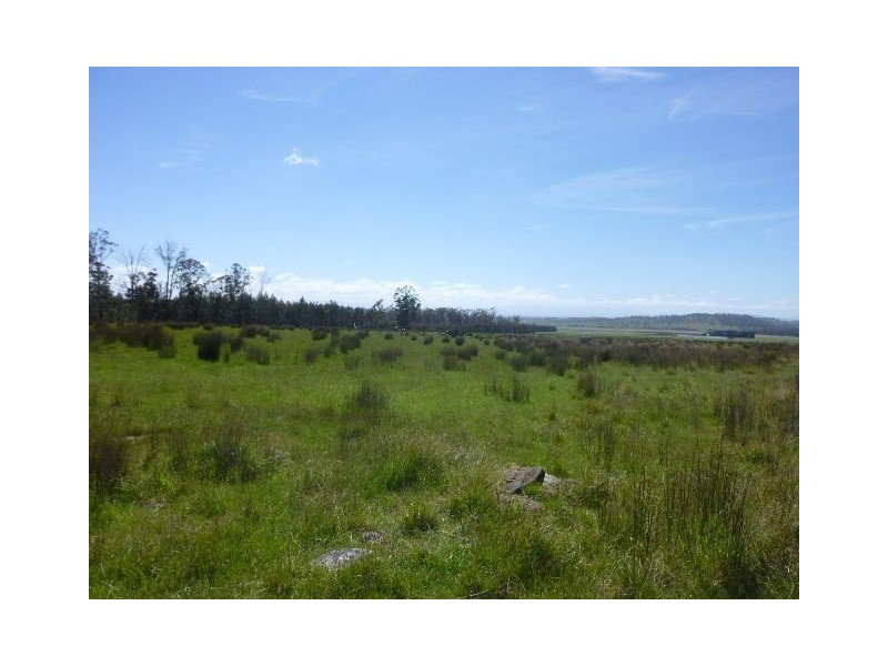 225036/1 Blackwood Creek Road, Blackwood Creek TAS 7301