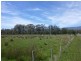 225036/1 Blackwood Creek Road, Blackwood Creek TAS 7301