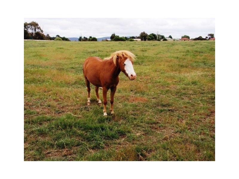 Lot 5 Forster Street, Campbell Town TAS 7210