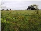Lot 5 Forster Street, Campbell Town TAS 7210