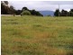 Lot 5 Forster Street, Campbell Town TAS 7210