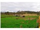 962 Deddington Road, Deddington TAS 7212