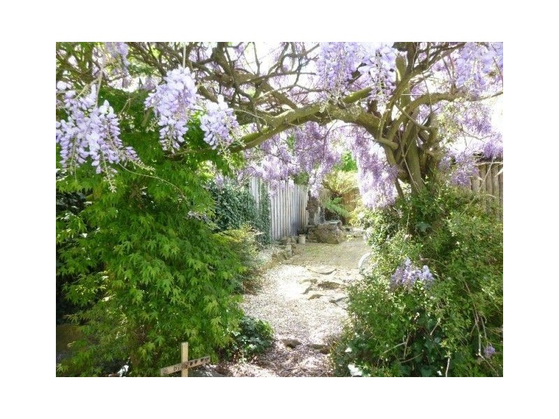 16 Collins Street, Evandale TAS 7212