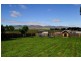 26 Arthur Street, Avoca TAS 7213