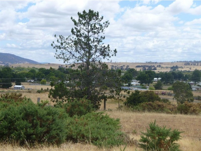 41 Park Street, Ross TAS 7209