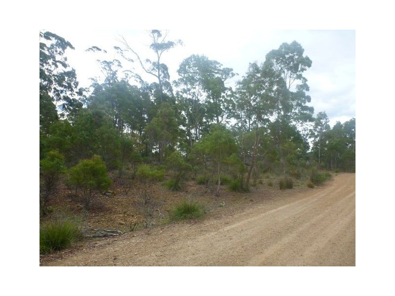 43 Little Spit Road, Lake Leake TAS 7210