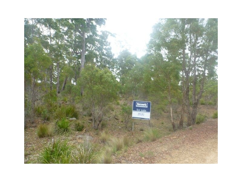 43 Little Spit Road, Lake Leake TAS 7210