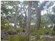 43 Little Spit Road, Lake Leake TAS 7210
