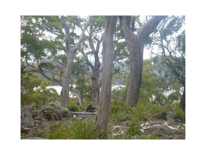 43 Little Spit Road, Lake Leake TAS 7210