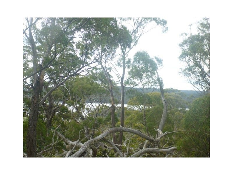 43 Little Spit Road, Lake Leake TAS 7210