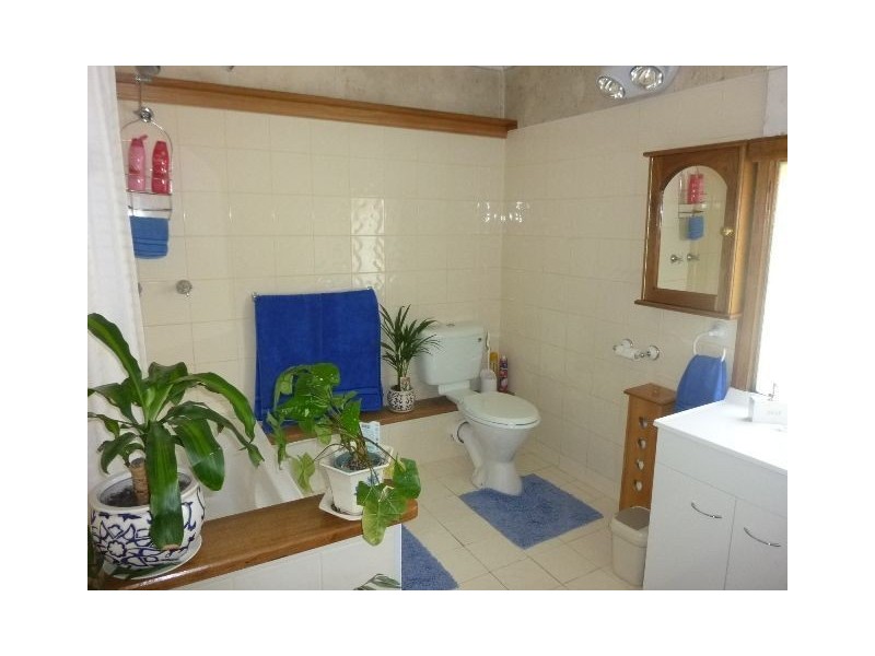 49 Wellington Street, Longford TAS 7301