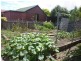 49 Wellington Street, Longford TAS 7301