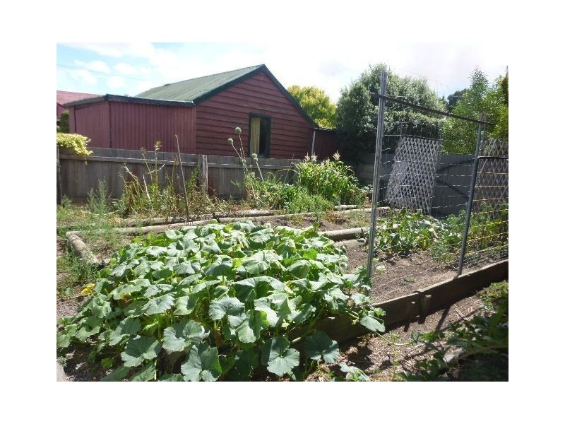 49 Wellington Street, Longford TAS 7301