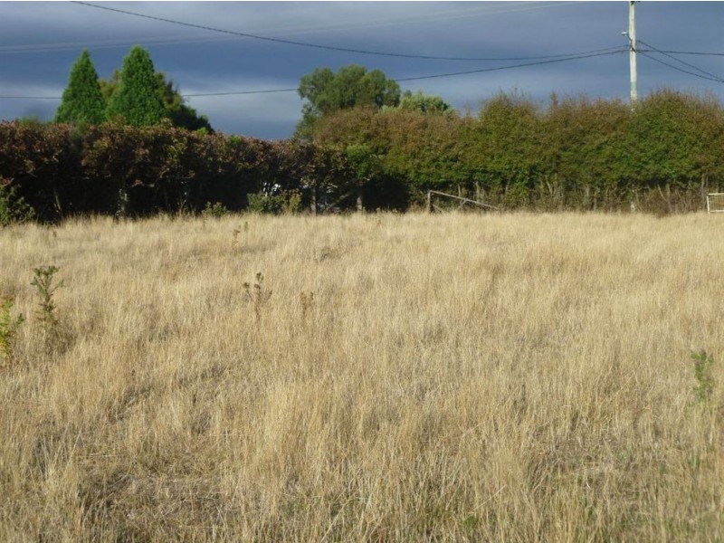 139 Main Street, Cressy TAS 7302