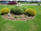 6 Veterans Row, Westbury TAS 7303