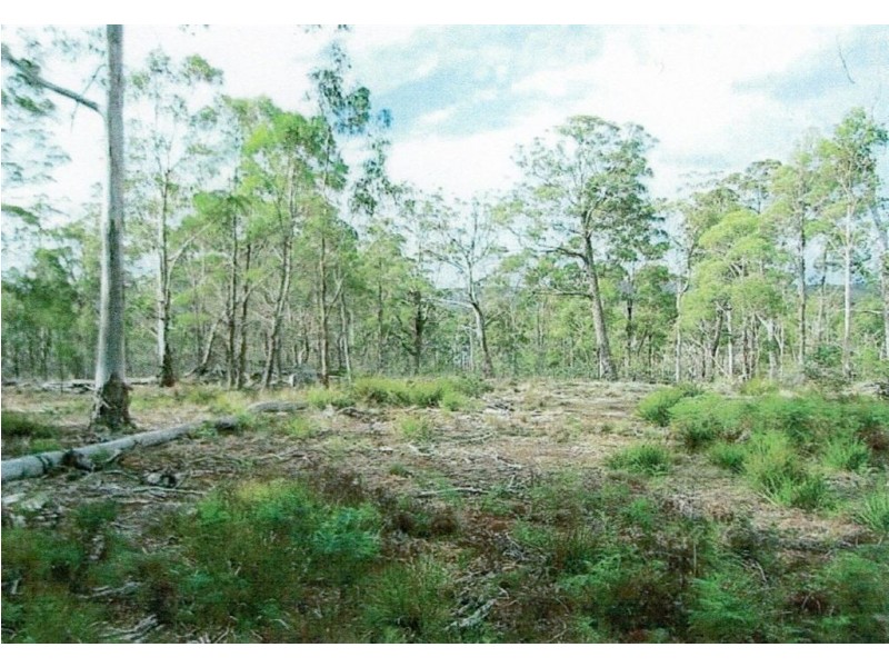Lot 63 Lake View Road, Lake Leake TAS 7210
