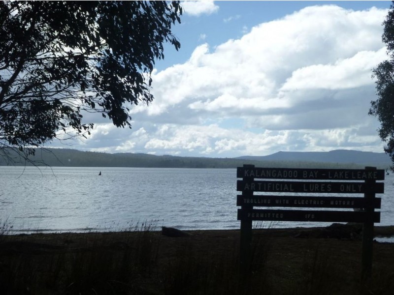 Lot 63 Lake View Road, Lake Leake TAS 7210
