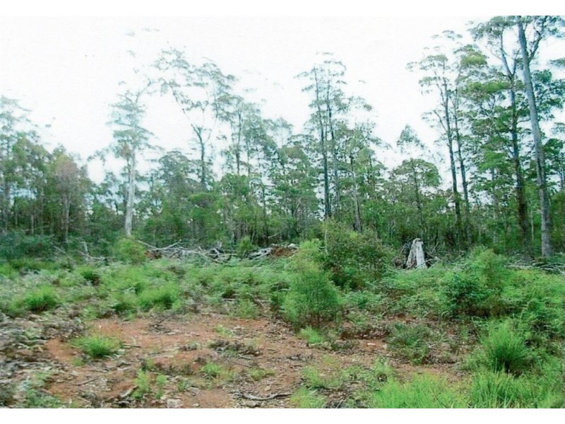 Lot 63 Lake View Road, Lake Leake TAS 7210