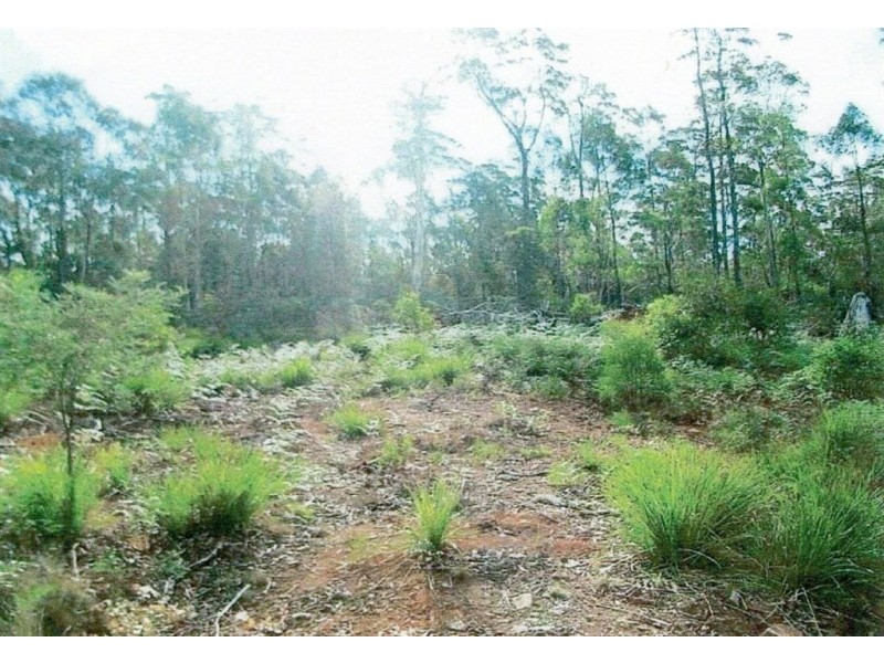 Lot 63 Lake View Road, Lake Leake TAS 7210