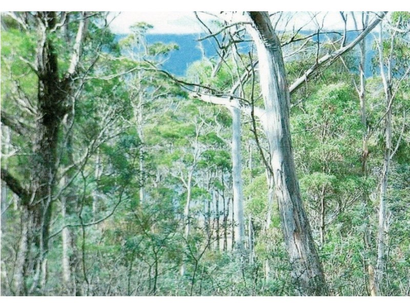Lot 63 Lake View Road, Lake Leake TAS 7210