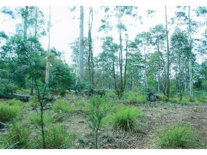 Lot 63 Lake View Road, Lake Leake TAS 7210