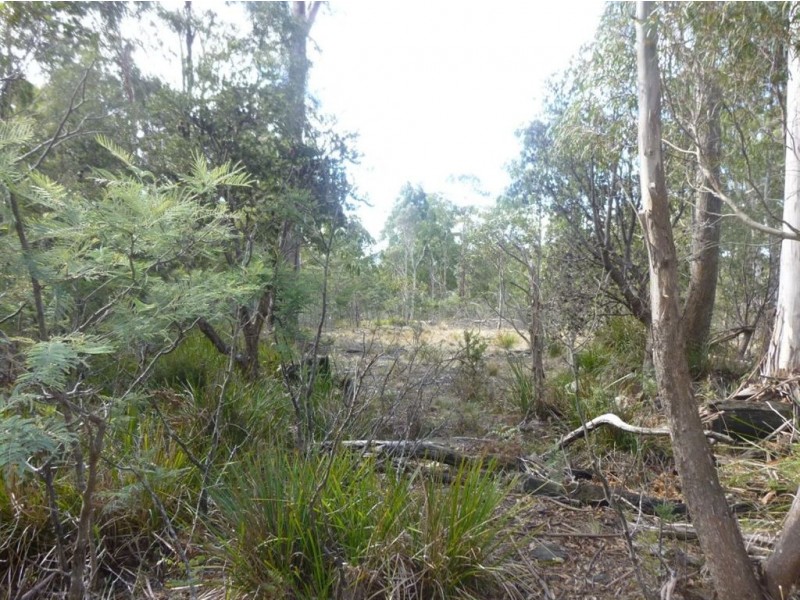 Lot 63 Lake View Road, Lake Leake TAS 7210