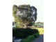 139-141 High Street, Campbell Town TAS 7210