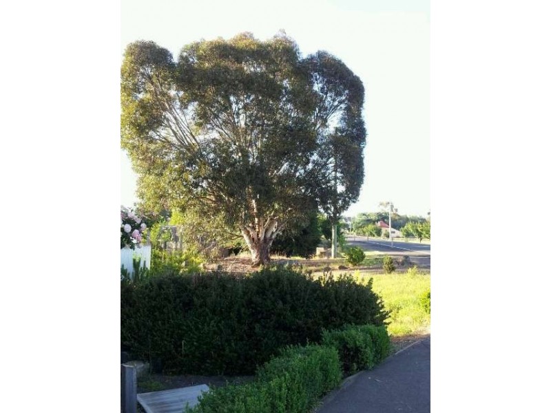 139-141 High Street, Campbell Town TAS 7210