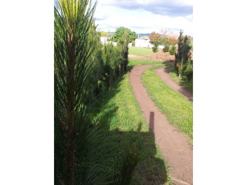 139-141 High Street, Campbell Town TAS 7210