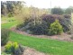 139-141 High Street, Campbell Town TAS 7210