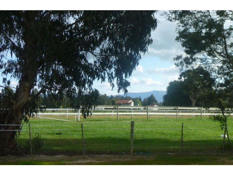 17C Cracroft Street, Longford TAS 7301