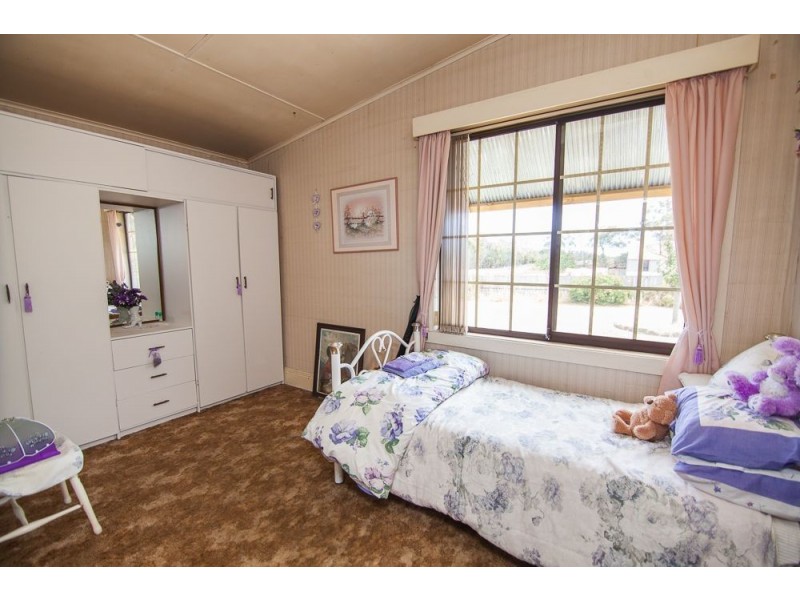 137 Conara Road, Conara TAS 7211