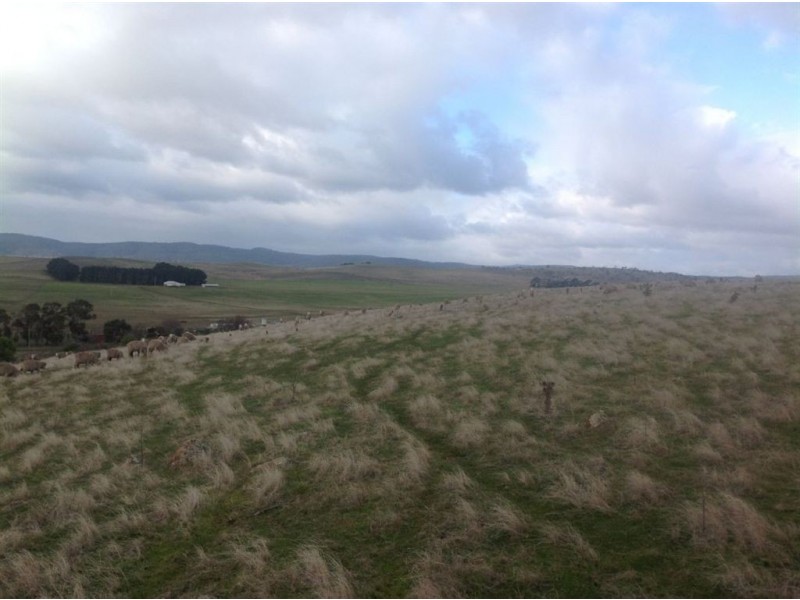 13 Smith Street, Longford TAS 7301