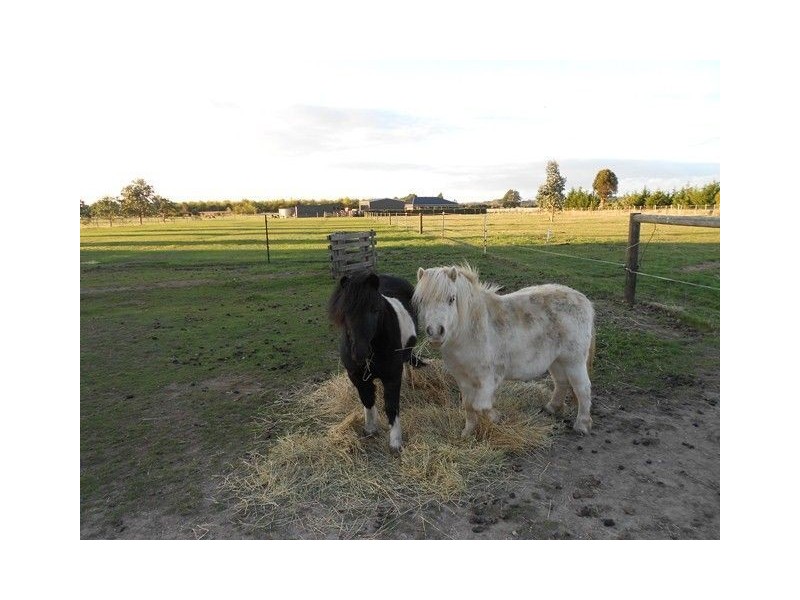 1105 Bishopsbourne Road, Bishopsbourne TAS 7301