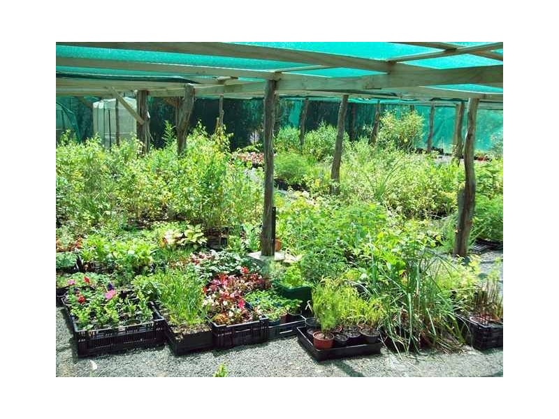 2 Christine Avenue, Devon Hills TAS 7300