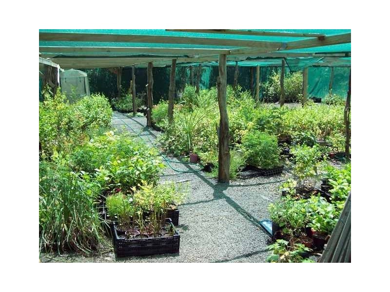 2 Christine Avenue, Devon Hills TAS 7300