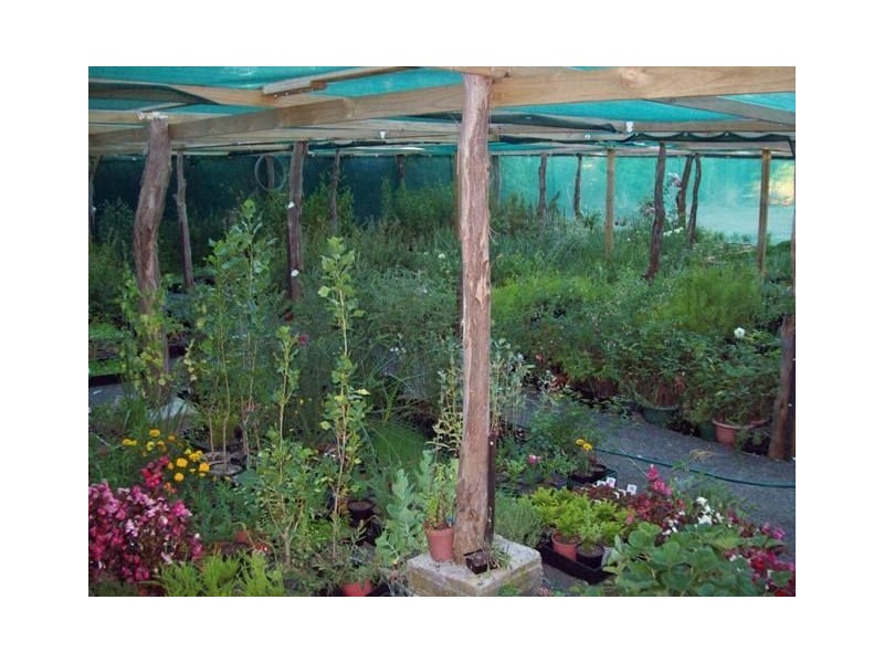 2 Christine Avenue, Devon Hills TAS 7300